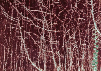 N 090B